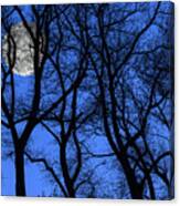 Silhouetted Trees At Full Moon Canvas Print