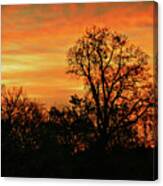 Silhouettes And Sunset Skies Canvas Print