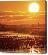 Silhouettes Upon The Platte Canvas Print