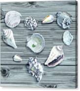 Silver Gray Seashells Heart On Ocean Shore Wooden Deck Beach House Art Canvas Print