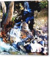 Silverado Canyon Small Fall Canvas Print
