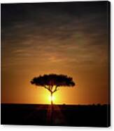 Single Acacia Tree On The Horizon At Sunrise In The Masai Mara Canvas Print