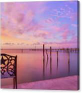 Sit Back And Enjoy The Show Canvas Print