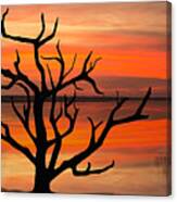Skeleton Trees Of Graveyard Beach 04 Canvas Print