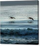 Skimming Over Sunrise Surf Canvas Print