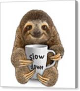 Sloth With Quote Mug Canvas Print