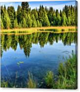 Snake River Reflections Canvas Print