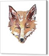 Sneaky Fox Mask Canvas Print