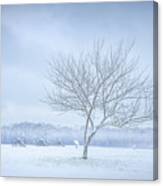 Snow At Shiloh National Military Park Canvas Print