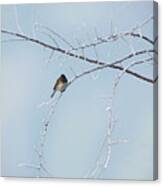 Snow Bird, A Finch In Winter Canvas Print