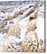 Snow Covered Cactus Below Mount Whitney Eastern Sierras Canvas Print