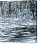 Snow Drive Canvas Print