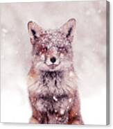 Snow Fox Series - Happy Fox In The Snow Canvas Print