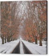 Snow In Fall Canvas Print