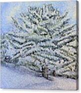 Snowfall Trees Canvas Print