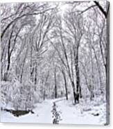 Snowy Path In Urbana Canvas Print