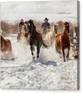 Snowy Ranch Horse Run Canvas Print