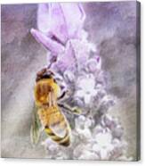 So Bee It Canvas Print