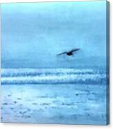 Soaring Freely Canvas Print