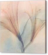 Soft Light Lilies Canvas Print