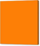 Solid Orange Color Canvas Print