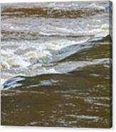 Some Flint River Flows Canvas Print