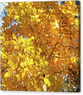 Some Flovilla Yellow Leaves Canvas Print