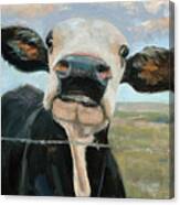 Something in the way she Moos Canvas Print