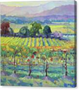 Sonoma Valley Vineyard Canvas Print