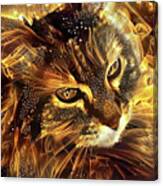 Sophie The Norwegian Forest Cat Canvas Print