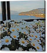 Sorrento - View With Flowers Canvas Print