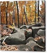 The Boulders Of Sourland Mountain Canvas Print