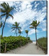 South Beach Miami, Florida Beach Entrance With Palm Trees Canvas Print