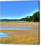 South Carolina Lowcountry Hdr Vertical 2 Canvas Print