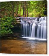 South Carolina Waterfalls Table Rock State Park Upstate Sc Waterfall Canvas Print
