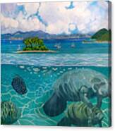 South Pacific Paradise With Manateestees Canvas Print