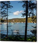 Northeast Harbor From The Trees Canvas Print