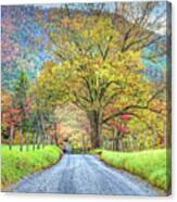 Sparks Lane At Cades Cove Townsend Tennessee Canvas Print