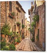 Spello, Picturesque Street And Plants. Umbria Canvas Print