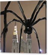 Spider In Ottawa Canvas Print