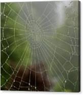 Spider Web With Dew Canvas Print