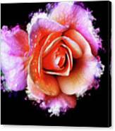 Splashy Rose Canvas Print