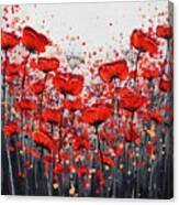 Splendor Of Poppies Canvas Print