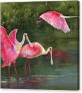 Spoonbills Canvas Print