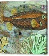 Spotted Brown Fish Canvas Print