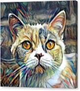 Spotted Cat Portrait Abstract Canvas Print