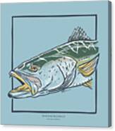 Spotted Seatrout Canvas Print