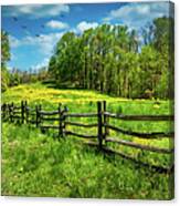 Spring Flowers And Blue Skies Canvas Print