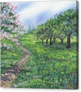 Spring Flowers In The Field Blossoms On The Trees Canvas Print