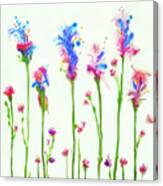 Spring Flowers1 Canvas Print